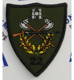 Emblema Batalion 22 Infanterie Romanati instructie